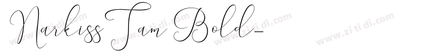 NarkissTam Bold字体转换